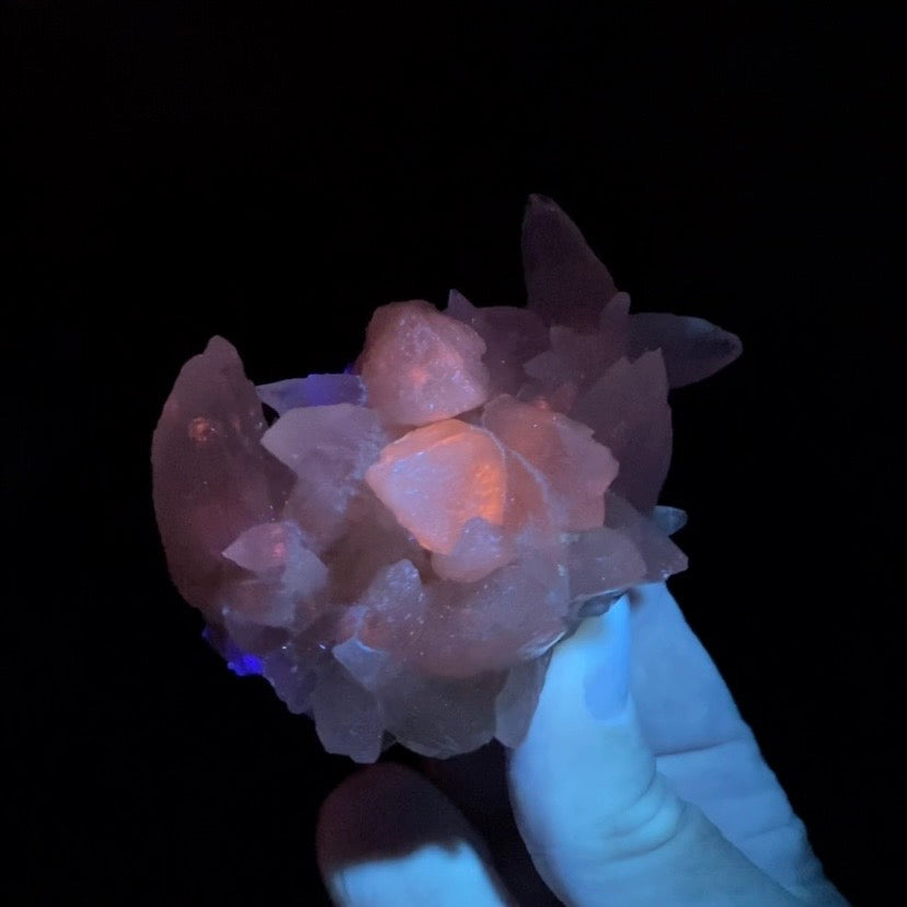 Scalenohedral DogTooth Calcite on Blue Purple Fluorite Matrix, UV Reactive, Fluorescent