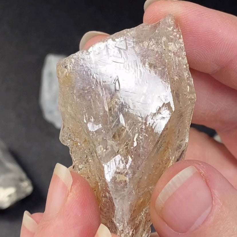 Fenster Quartz Crystal with Multiple Record Keepers