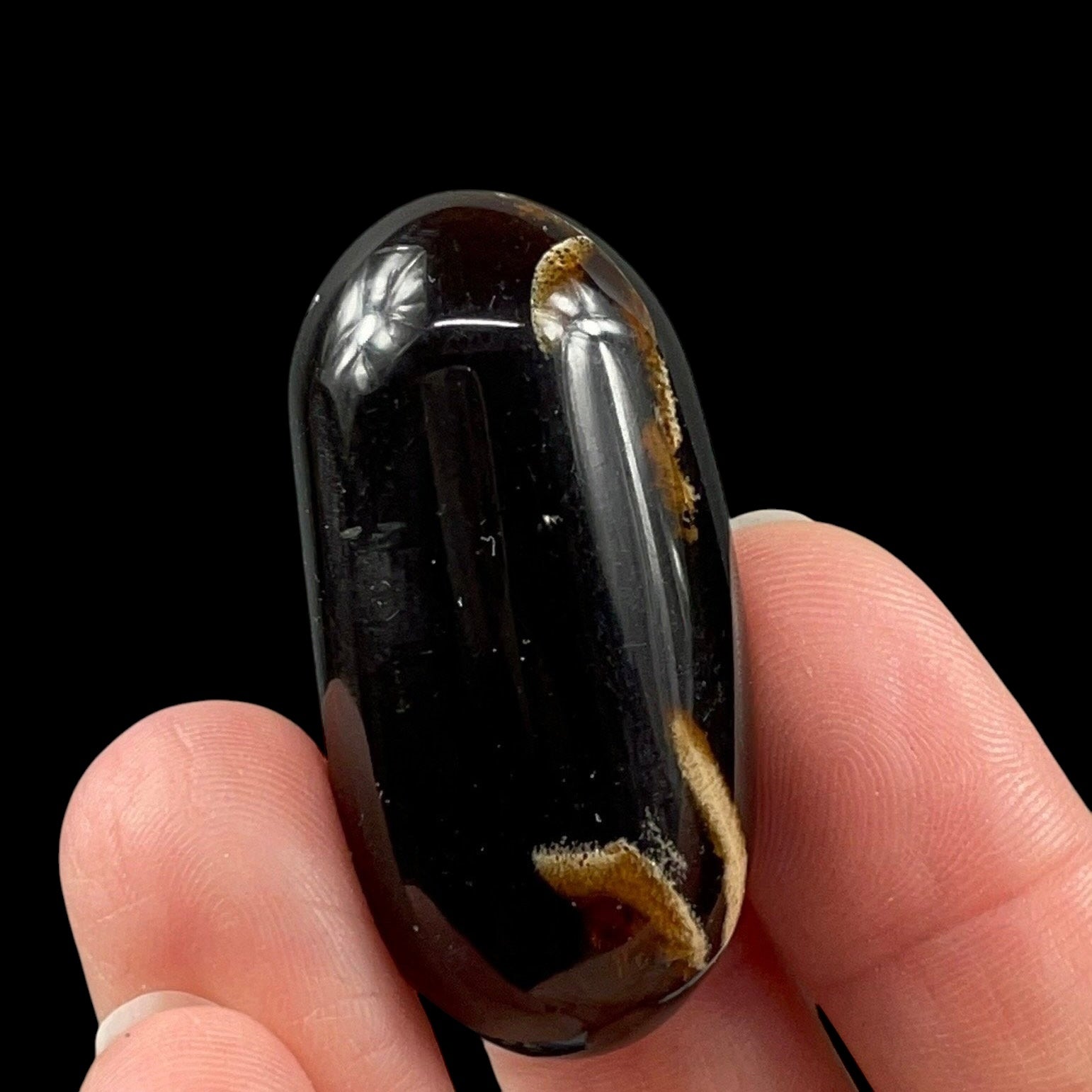 ONE Sumatran Amber Tumbled Stone, Two Sizes Available