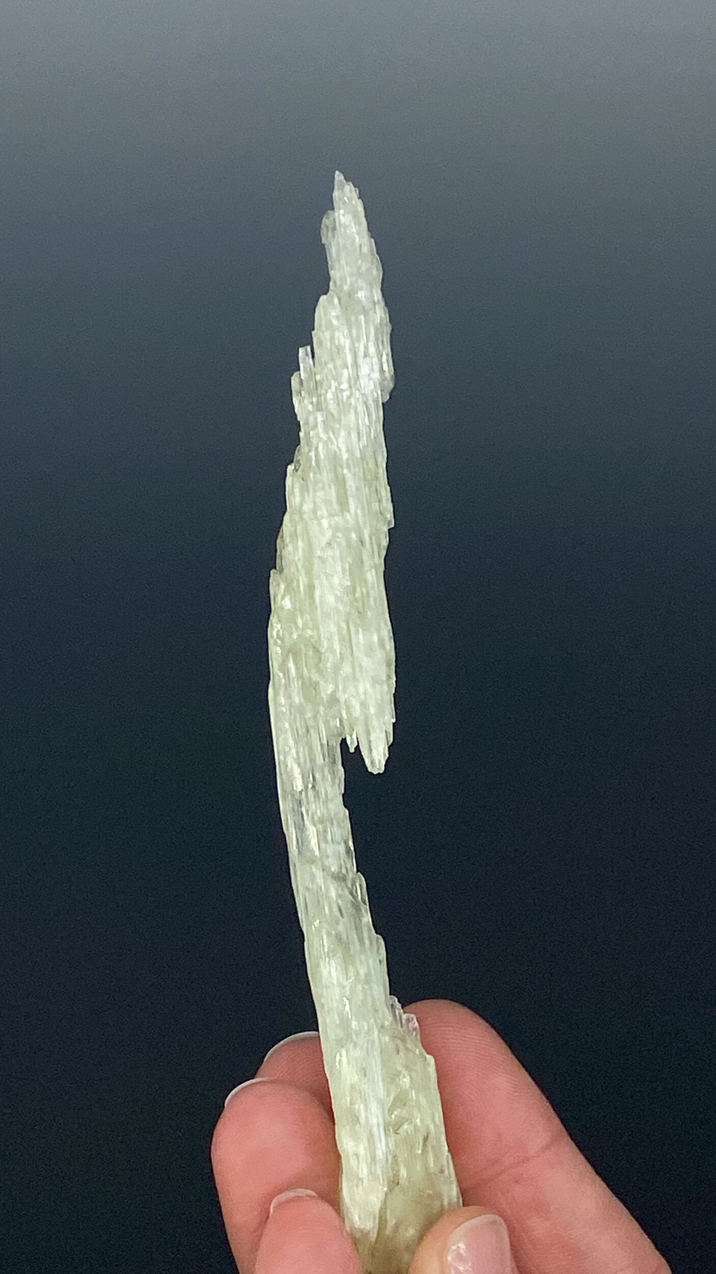 Etched Yellow Triphane / Spodumene Crystal - Yellow Kunzite - UV Reactive