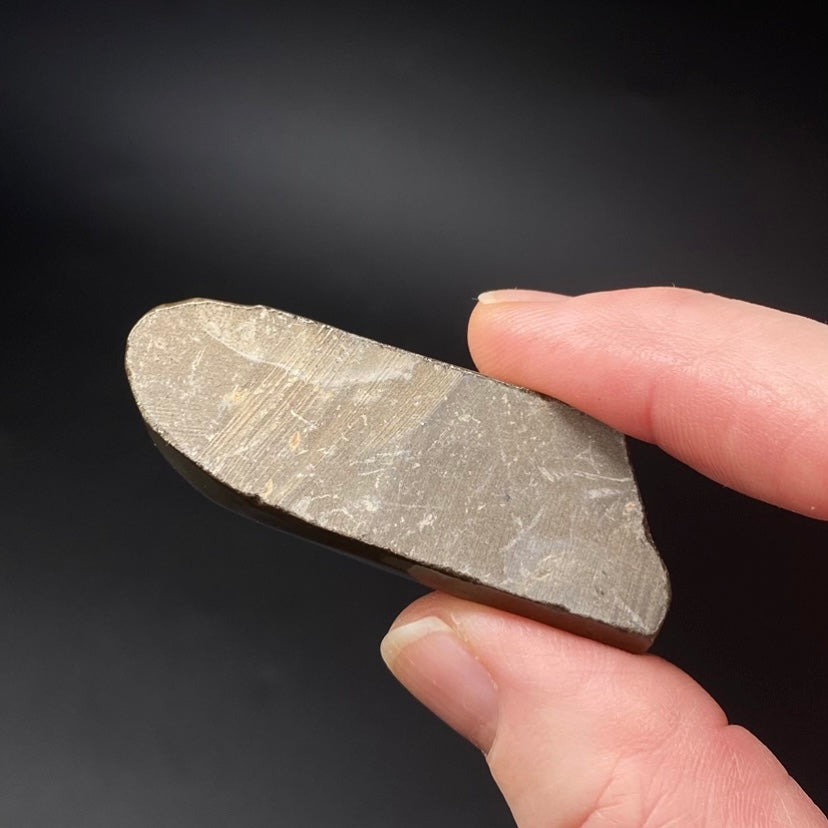 Canadian Korite Ammolite Hand Specimen