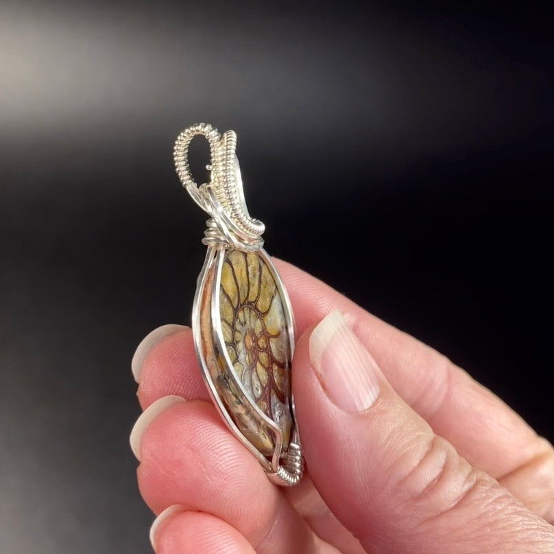 Polished Ammonite Fossil & Sterling Silver Wire Wrapped Pendant