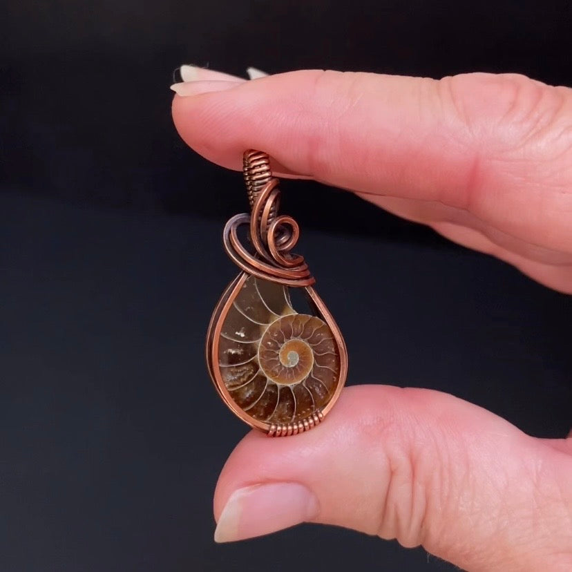 Polished Ammonite Fossil & Copper Wire Wrapped Pendant