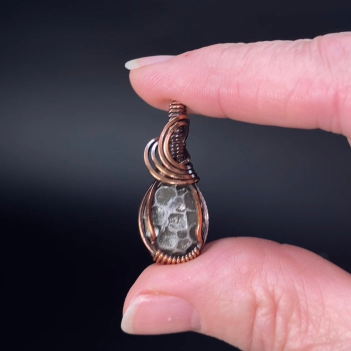 Fossilized 380 Million Year Old Pleurodictyum Coral & Copper Wire Wrapped Pendant