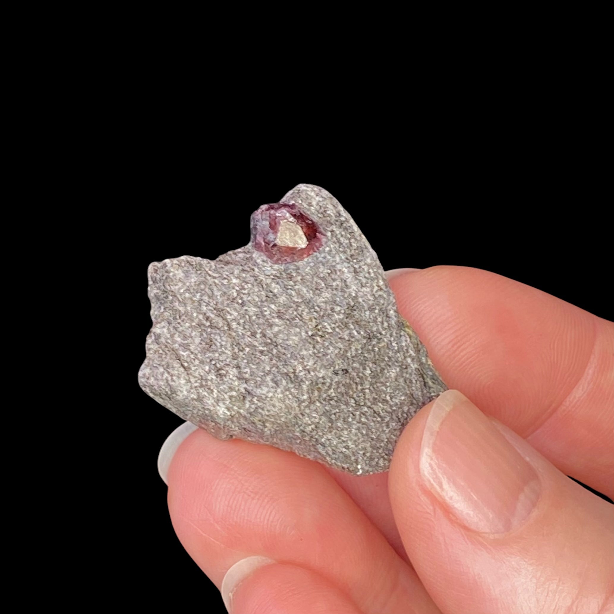 Almandine Garnet in Mica Schist, From the Famous Garnet Ledge, Wrangell, Alaska