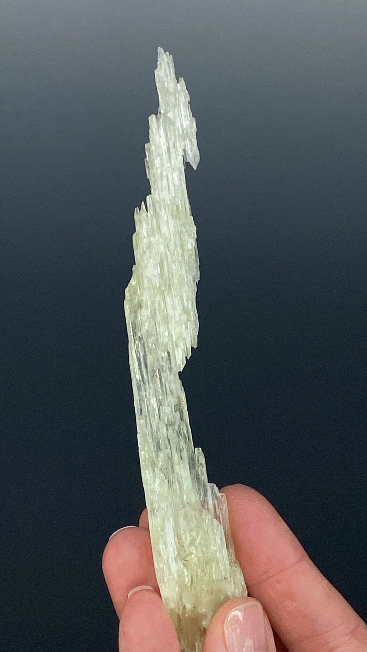 Etched Yellow Triphane / Spodumene Crystal - Yellow Kunzite - UV Reactive