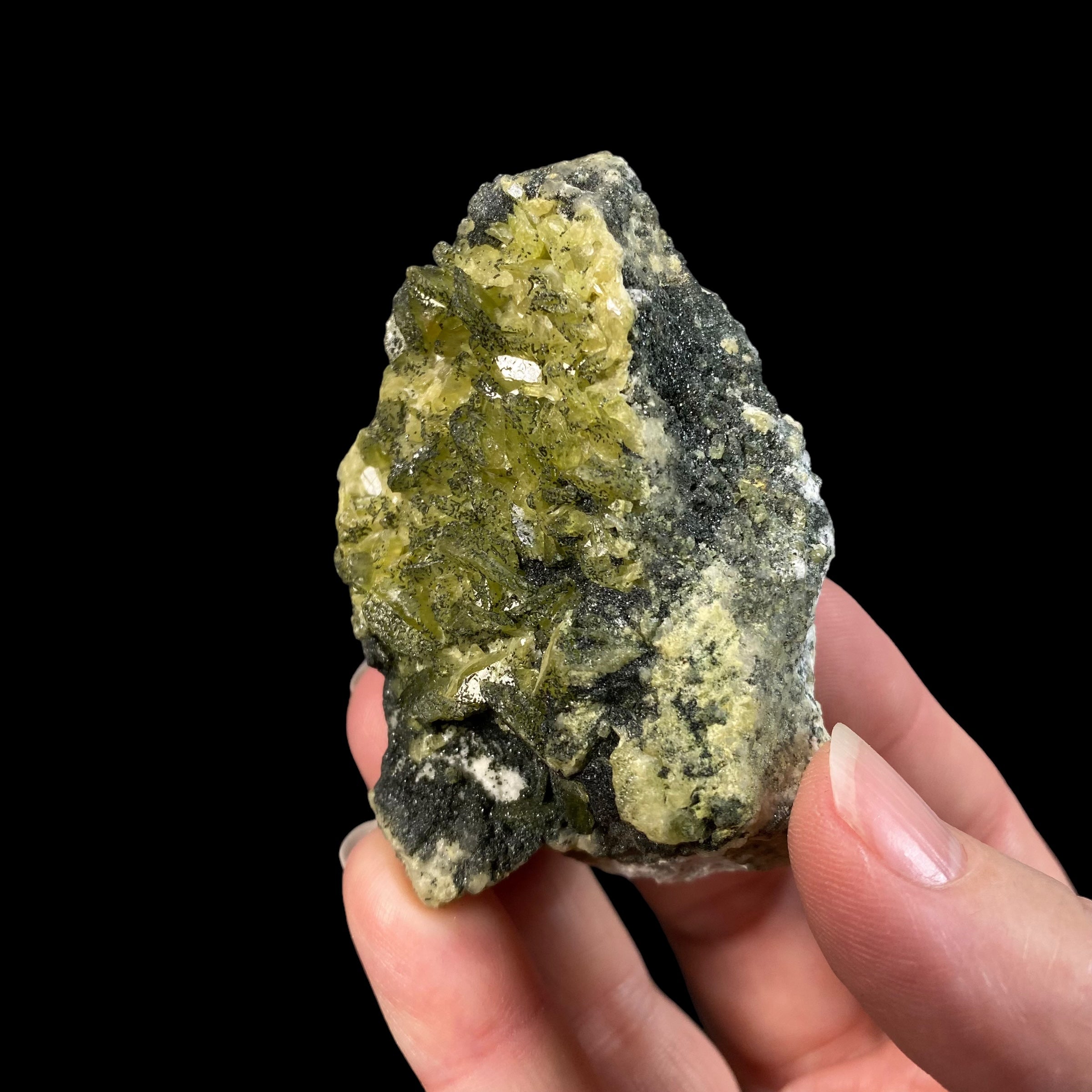 Titanite Sphene Crystals with Clinochlore, Calcite & Adularia on Matrix