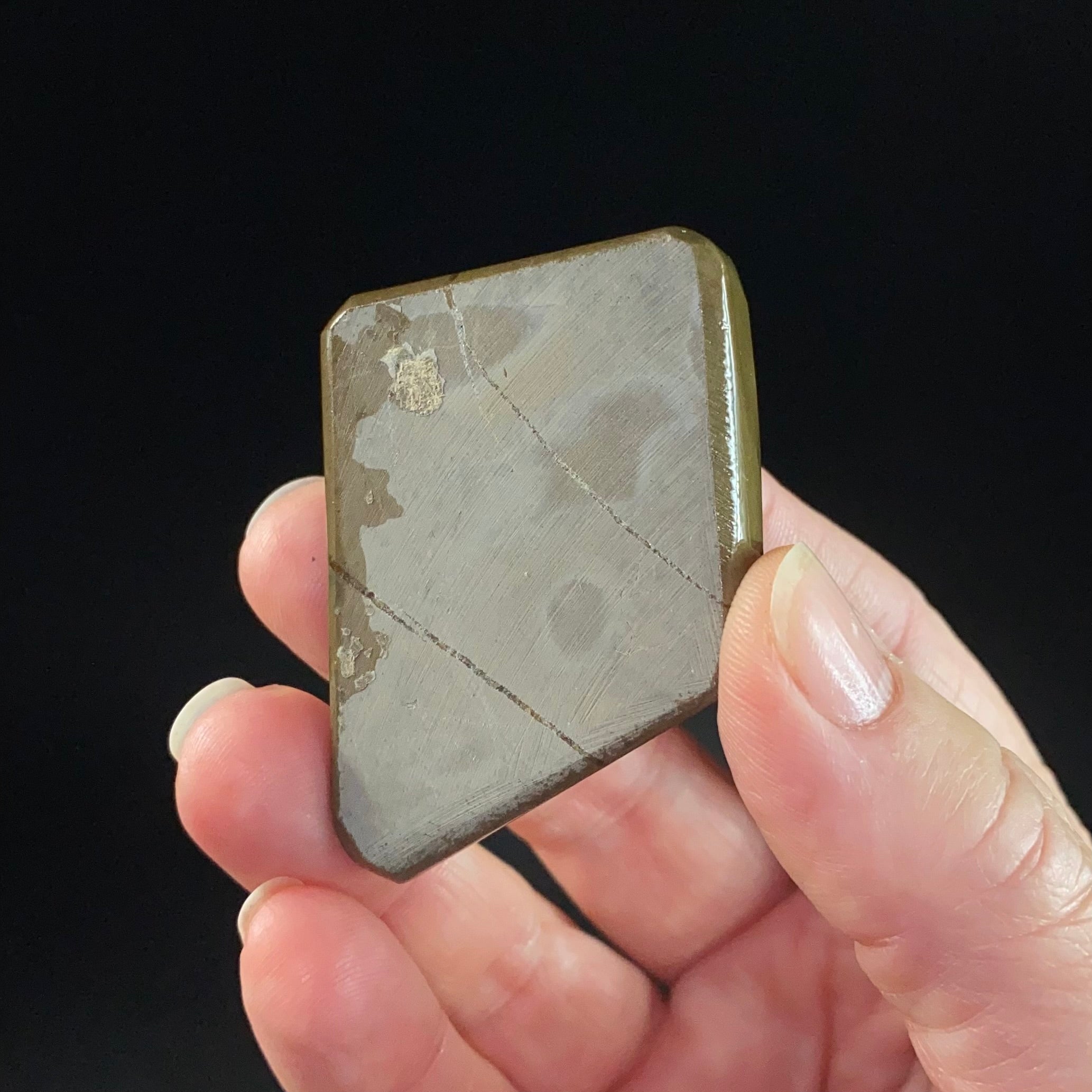 Canadian Korite Ammolite Hand Specimen in Display Box