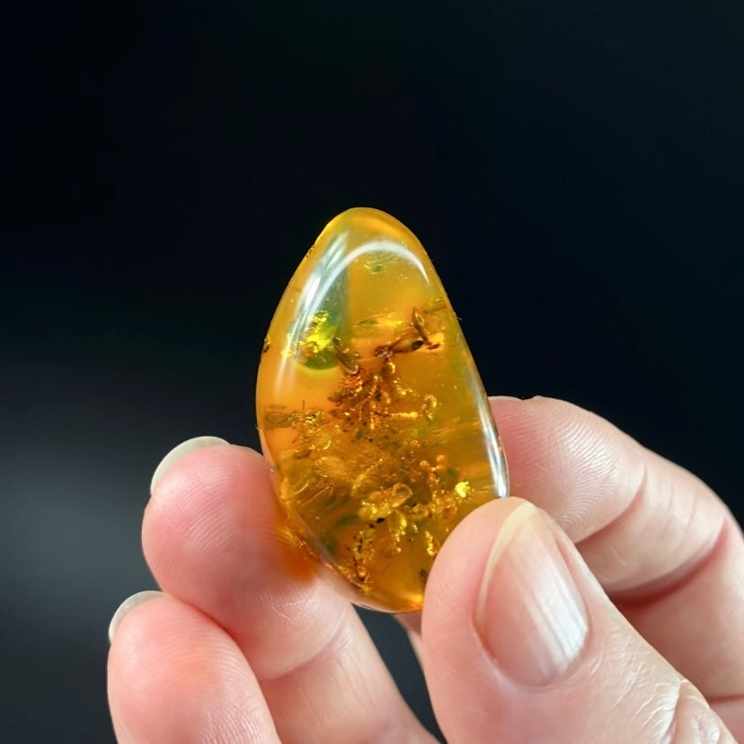 Polished Amber with Inclusions from Cimitarra, Colombia