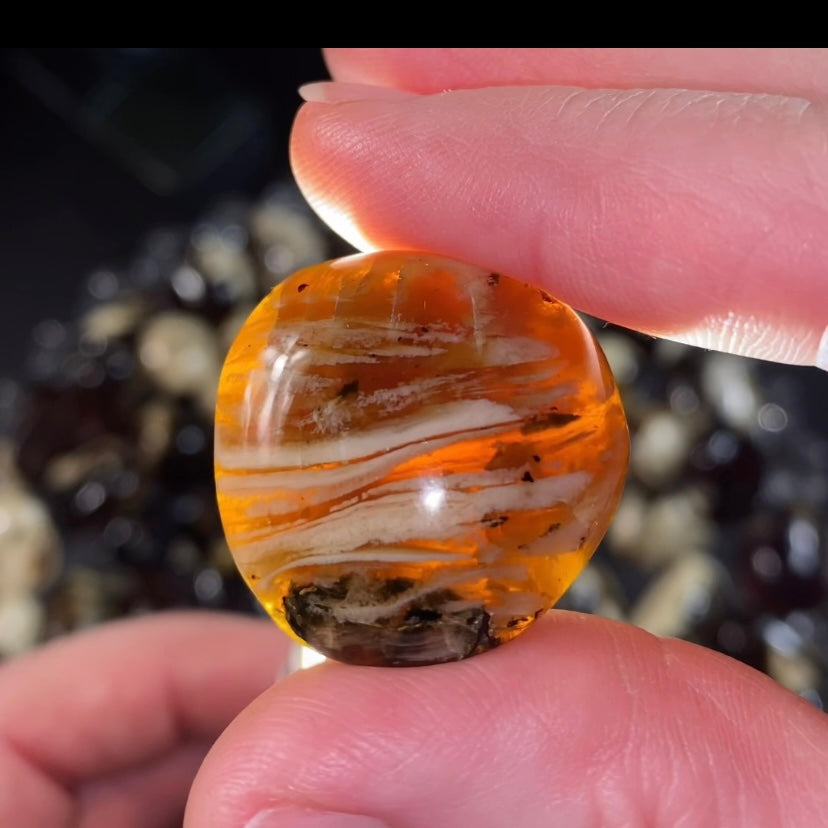 Sumatran Tiger Amber Tumble, Natural Fossil Amber with Intricate Caramel Patterning