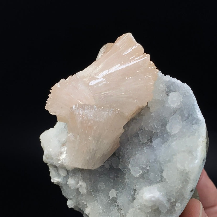 Light Pink Gemmy Heulandite & Minor Mordenite on Chalcedony in a Trimmed Basalt Pocket