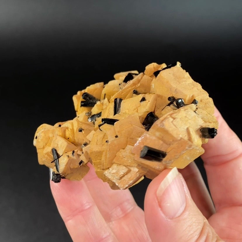 Black Tourmaline Schorl Crystals on Feldspar Matrix