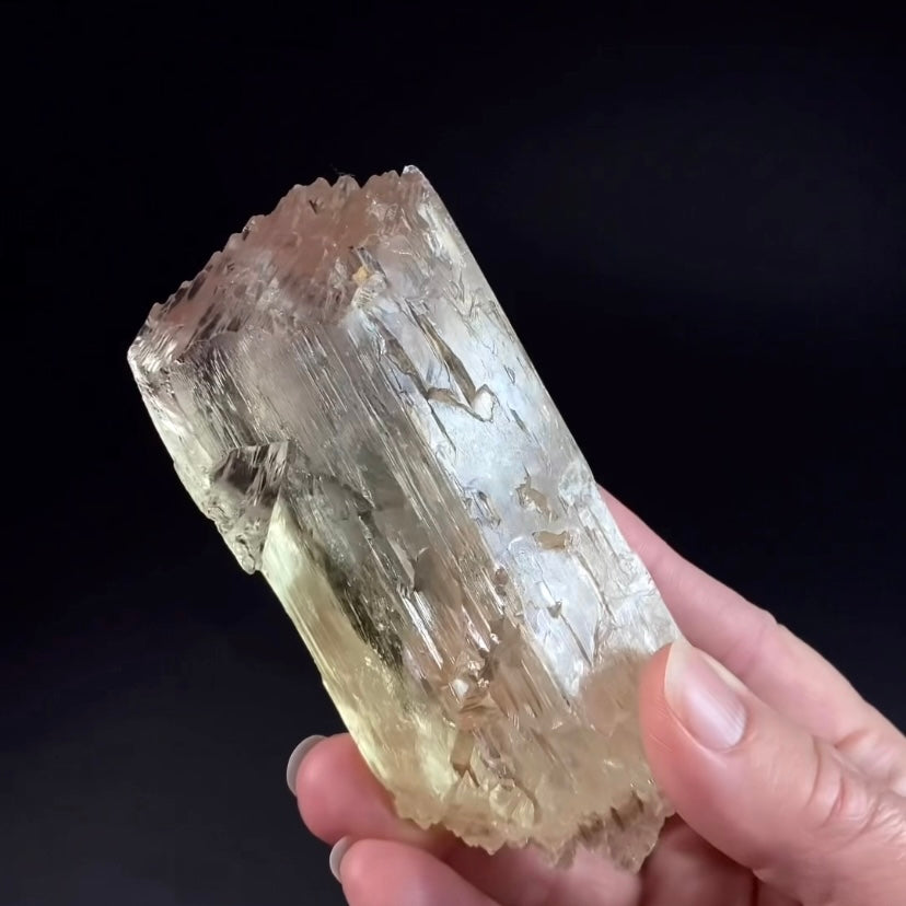 Yellow and Pink Spodumene Triphane Kunzite Crystal with Unique Healed Terminations