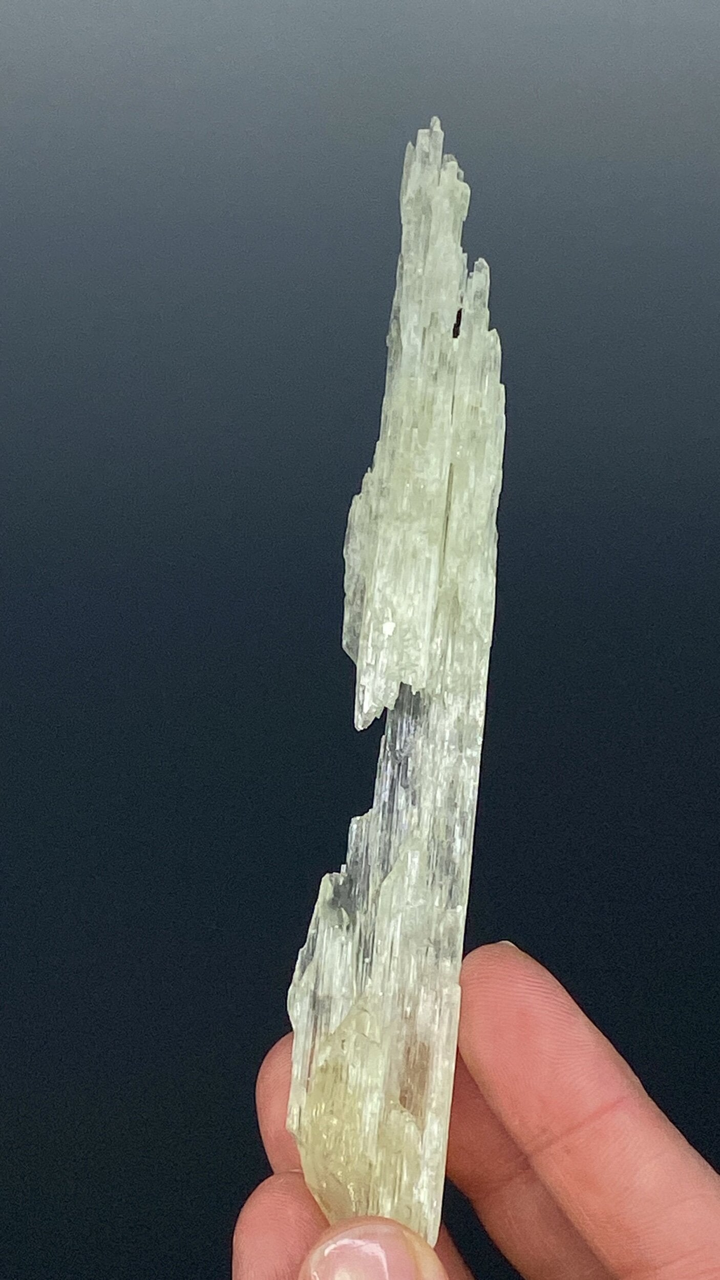 Etched Yellow Triphane / Spodumene Crystal - Yellow Kunzite - UV Reactive