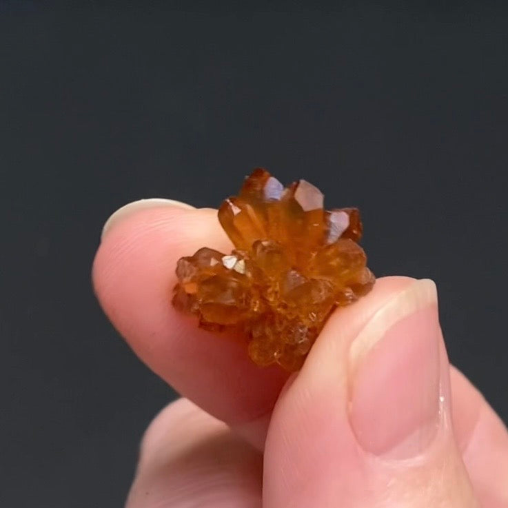 Floater Citrine Colored Honey Brown Quartz Flower Cluster - Midelt, Morocco