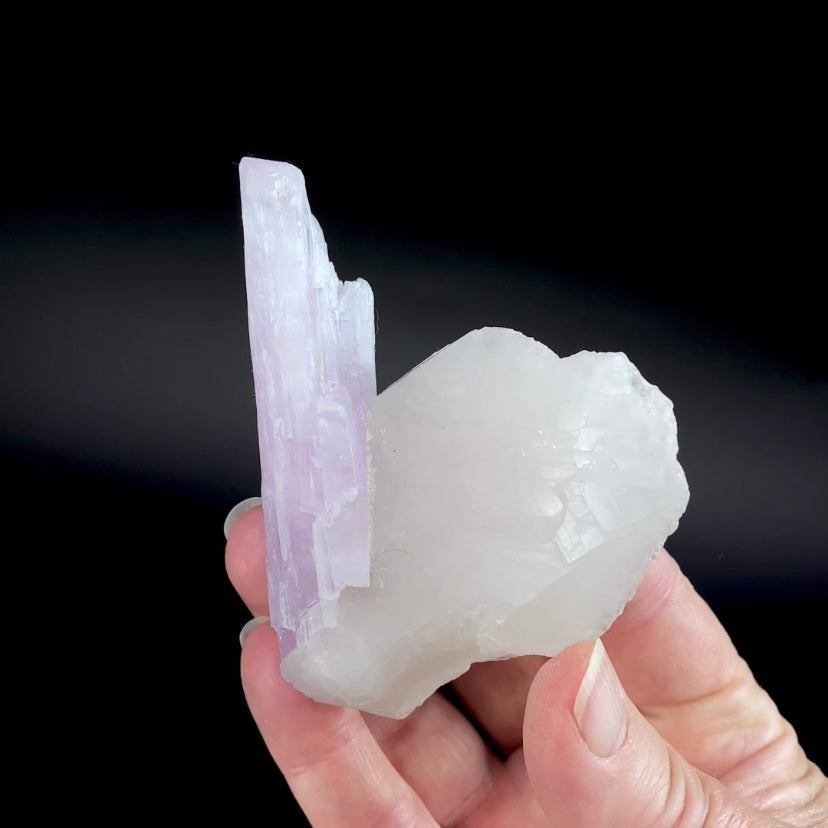 Pink Spodumene Kunzite Crystal with Self Healed Quartz, Laghman, Afghanistan