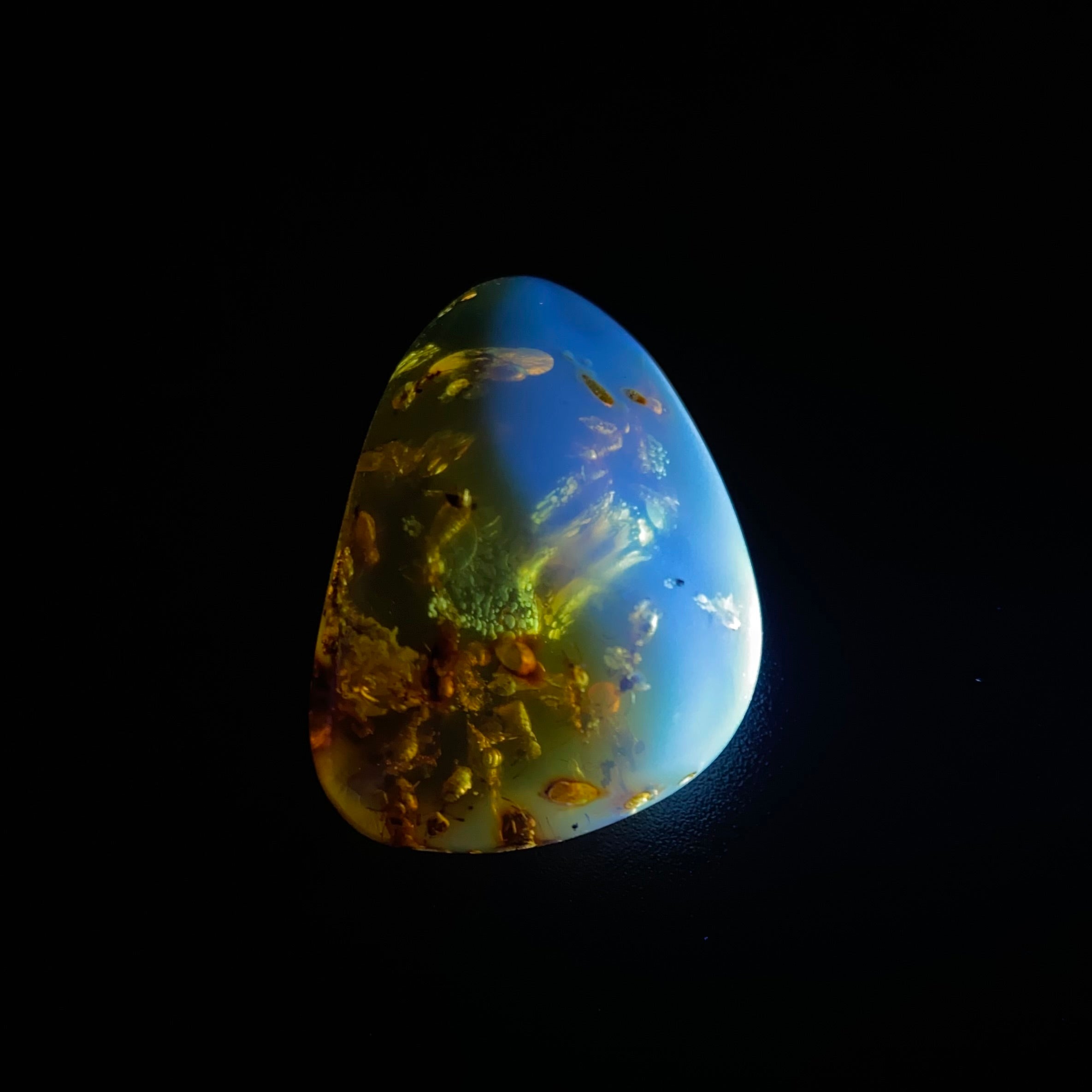 Polished Amber with Inclusions from Cimitarra, Colombia