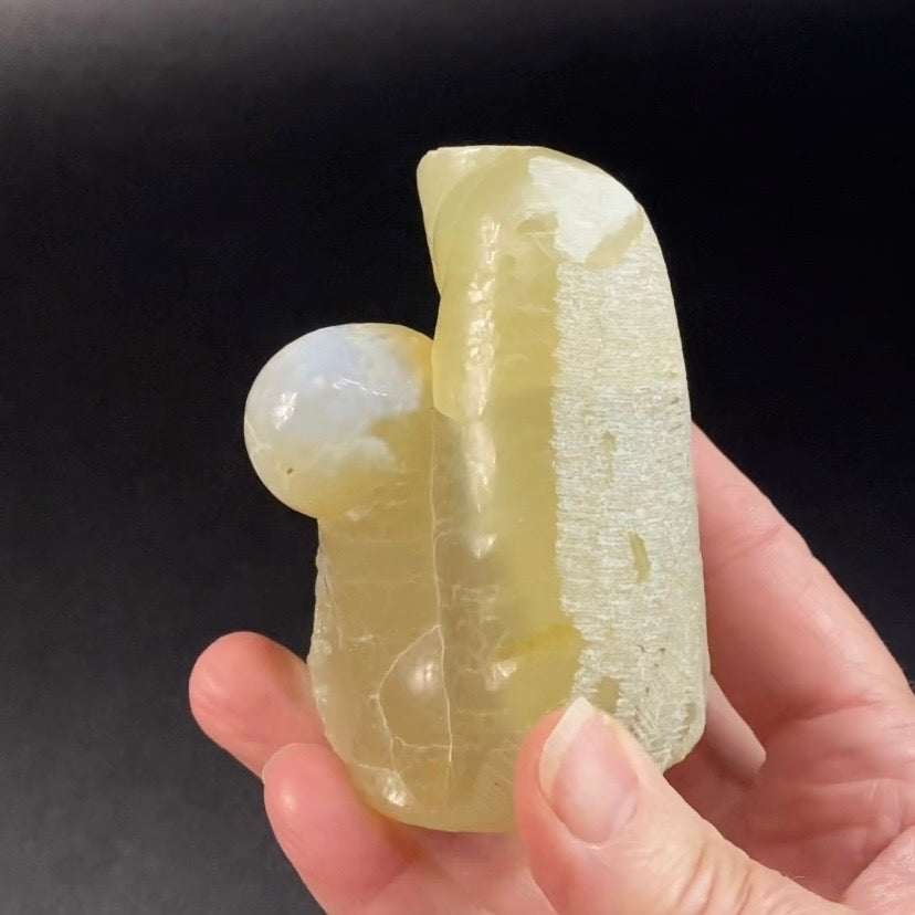 Botryoidal Chalcedony with Internal Structure – Maharashtra, India