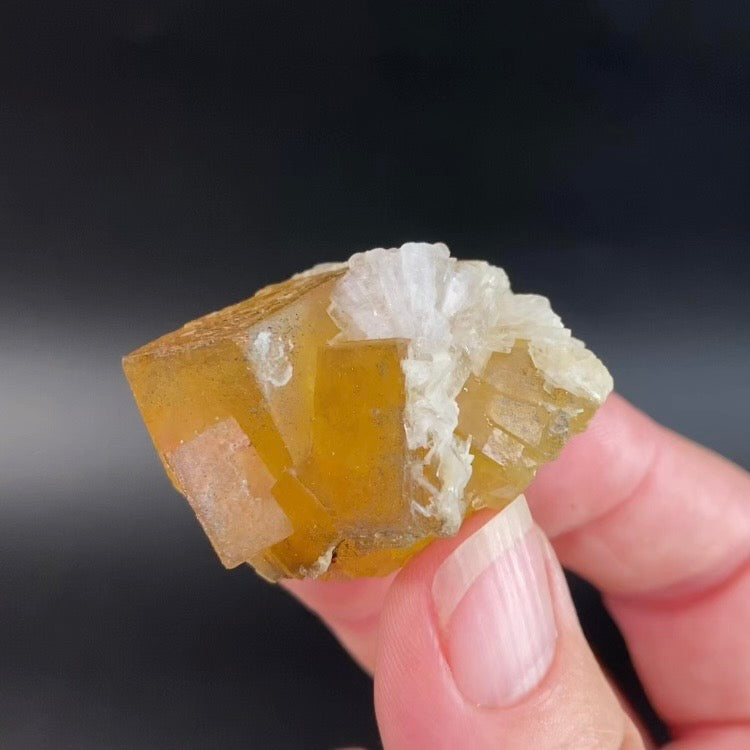 Yellow Moscona Cubic Fluorite Cluster from Asturias Spain - Phosphorescent