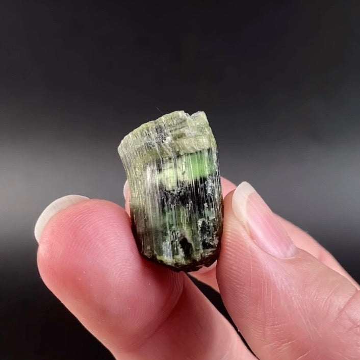 Chatoyant Green Cat's Eye Tourmaline Crystal, Pech, Afghanistan