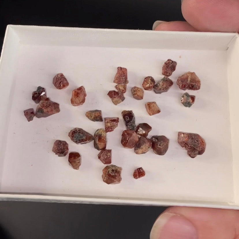Zircon Crystal 10 Gram Lot with Yellow Fluorescent Apatite Inclusions