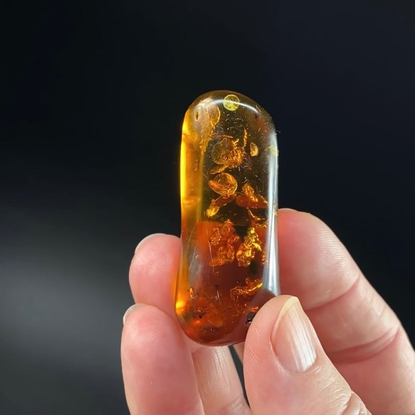 Polished Colombian Amber with Inclusions from Cimitarra, Fluorescent