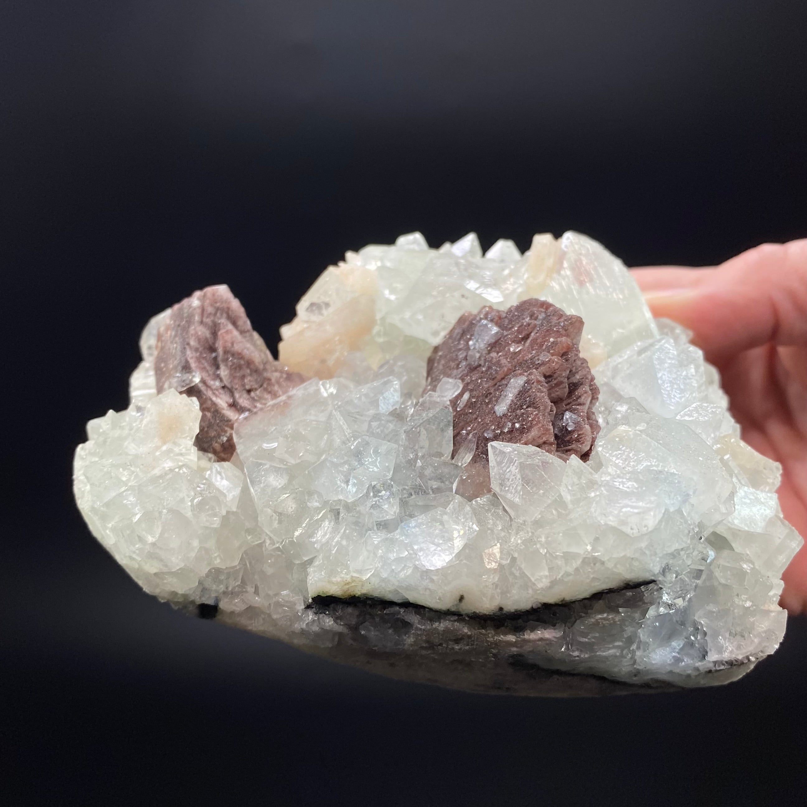 Rare Red-Brown Heulandite Fan with Clear Apophyllite Crystals & Stilbite in a Trimmed-out Pocket of Volcanic Basalt Matrix