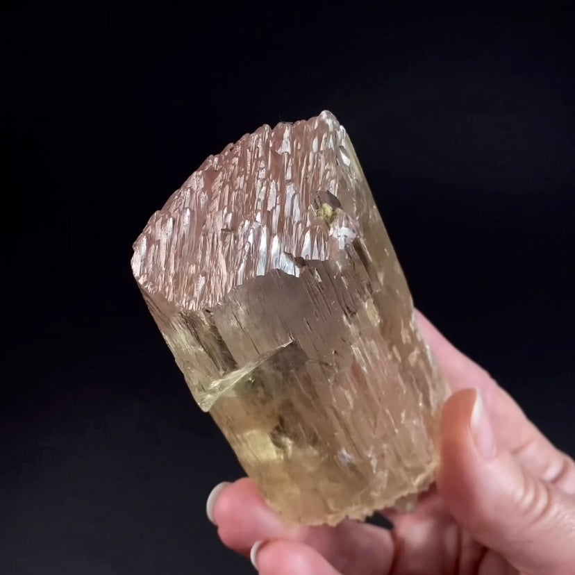 Yellow and Pink Spodumene Triphane Kunzite Crystal with Unique Healed Terminations