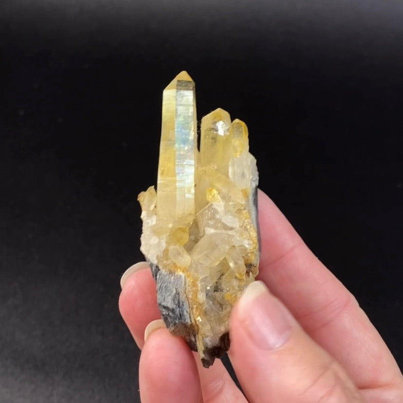 Himalayan Golden Quartz Crystals on Matrix