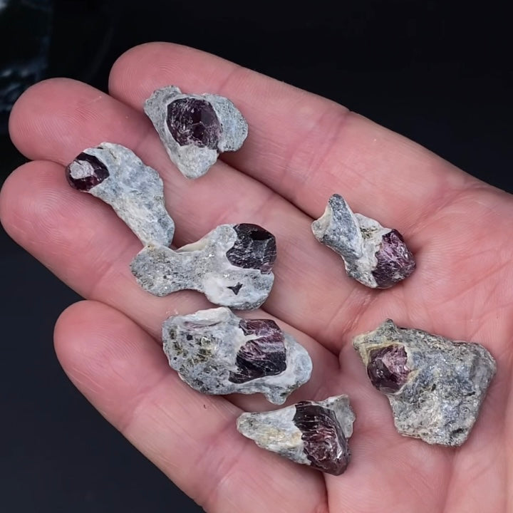 Red Garnet Crystal on Mica Schist Specimen from Pakistan