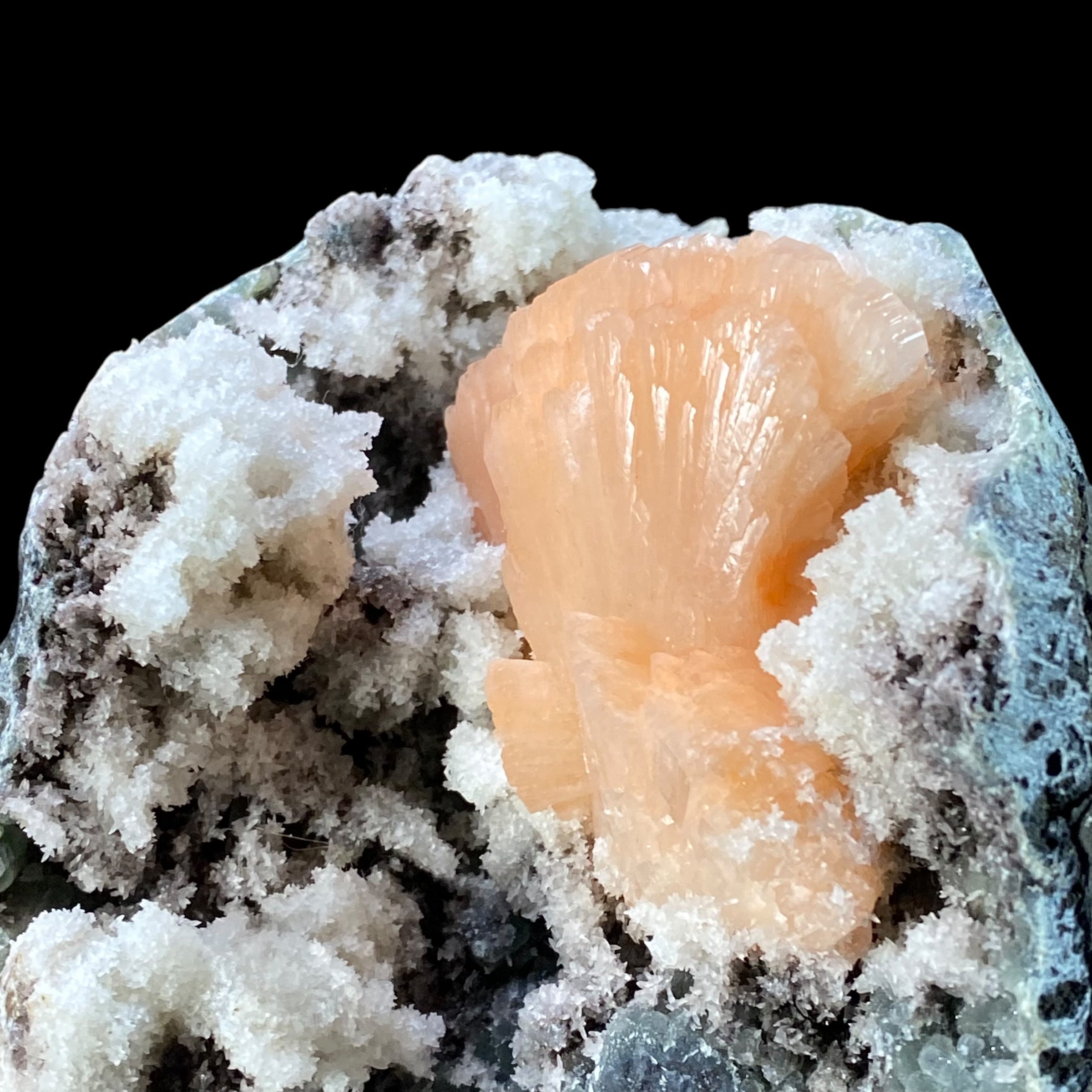 Pink Heulandite Fan Cluster with Apophyllite Crystals & Chalcedony in a Trimmed Pocket of Volcanic Basalt Matrix
