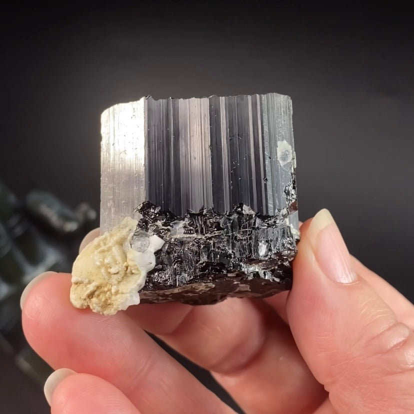 Unique Terminated Black Tourmaline Schorl Crystal from Shigar Valley, Pakistan - Natural Crystals