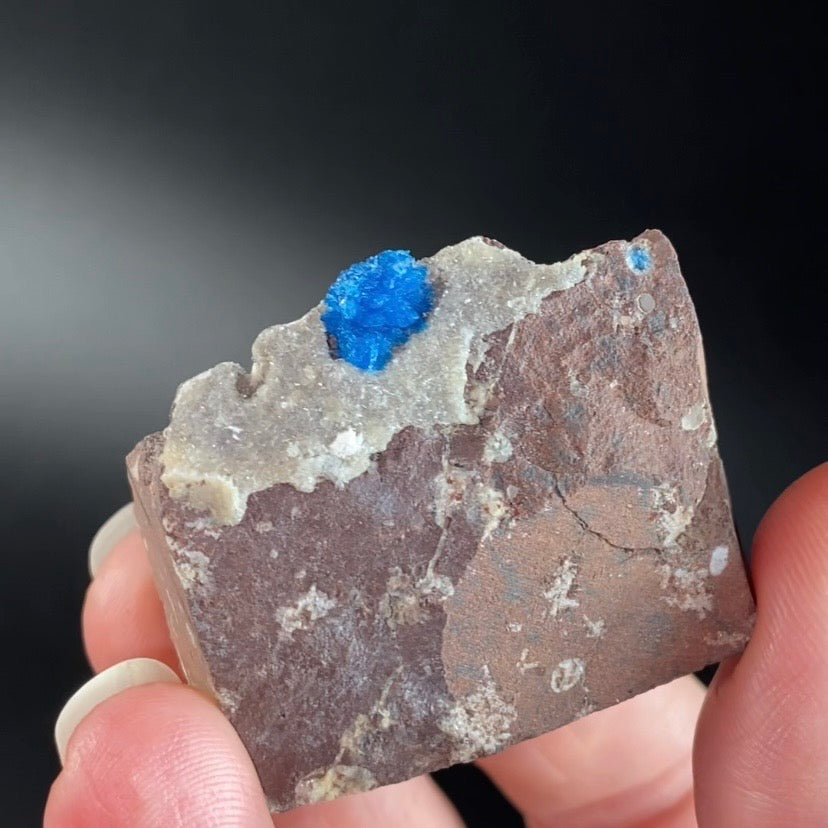 Vibrant Blue Cavansite Cluster on Druzy Stilbite & Basalt Matrix