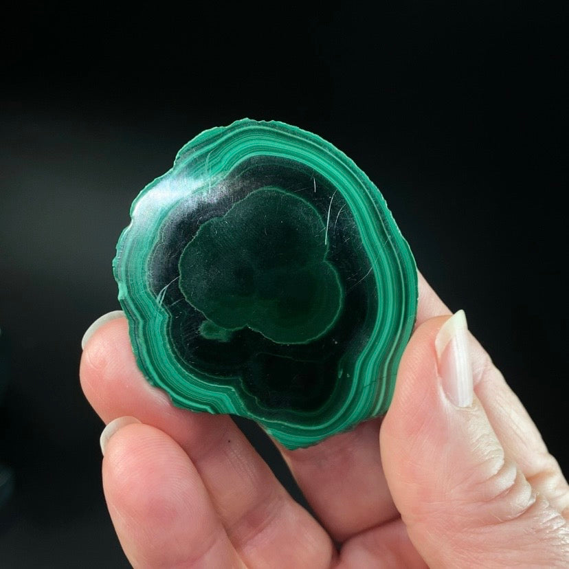 Malachite Polished Slice, Kolwezi, DR Congo