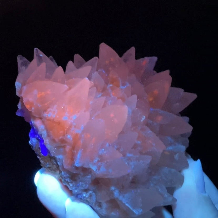 Scalenohedral DogTooth Calcite on Blue Purple Fluorite Matrix, UV Reactive, Fluorescent