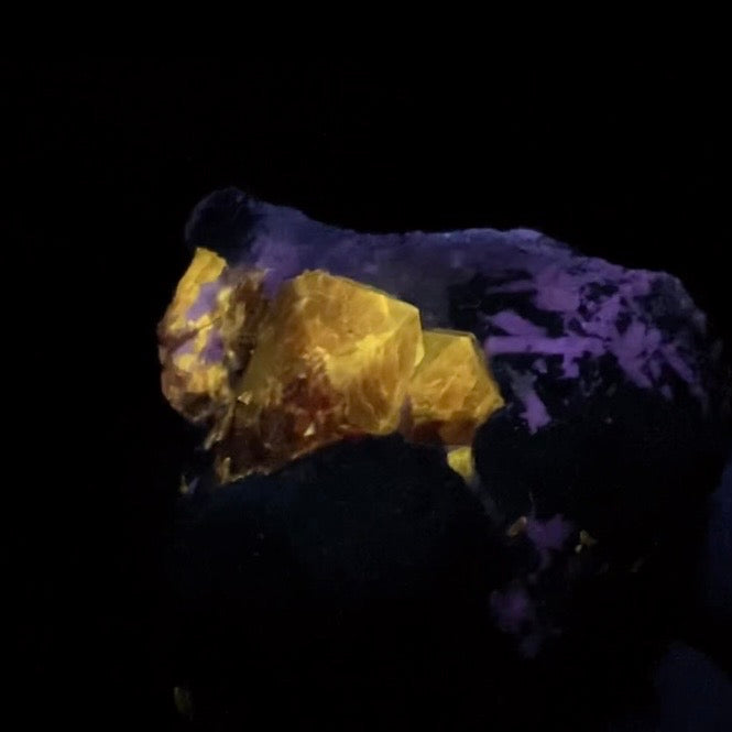 Zircon Crystal with Fluorescent Apatite Inclusions, Biotite-Calcite Schistose matrix, Astore Valley, Pakistan