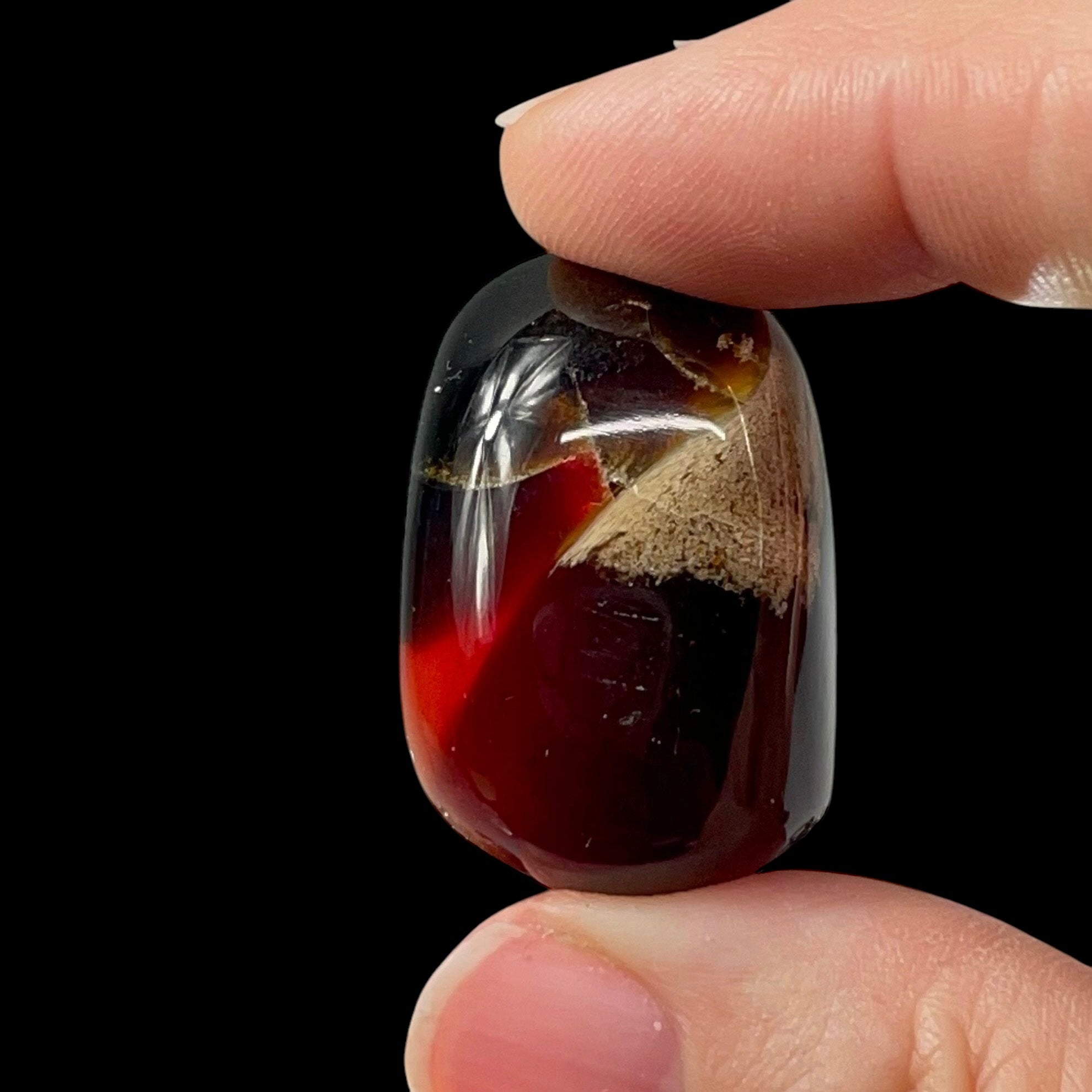ONE Sumatran Amber Tumbled Stone, Two Sizes Available