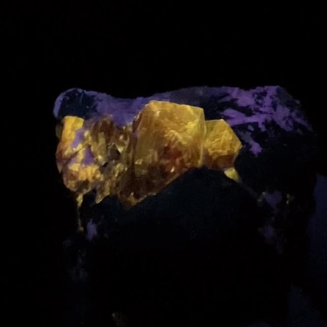 Zircon Crystal with Fluorescent Apatite Inclusions, Biotite-Calcite Schistose matrix, Astore Valley, Pakistan