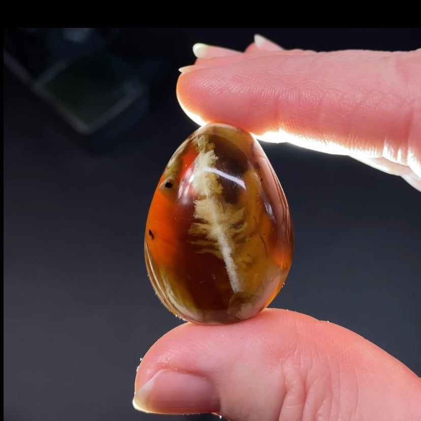 Sumatran Zebra Amber Tumble, Natural Fossil Amber with Intricate Caramel Patterning