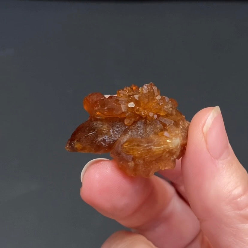Floater Citrine Colored Honey Brown Quartz Flower Cluster - Midelt, Morocco