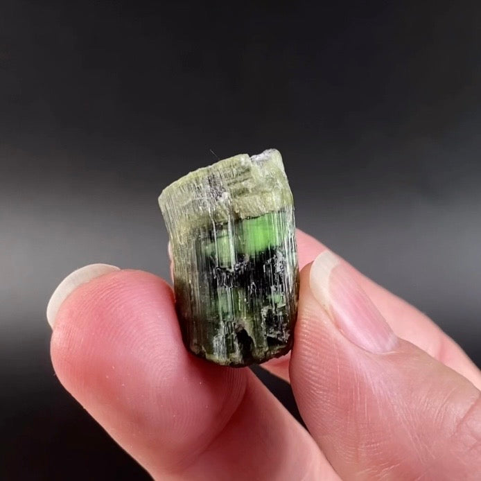 Chatoyant Green Cat's Eye Tourmaline Crystal, Pech, Afghanistan