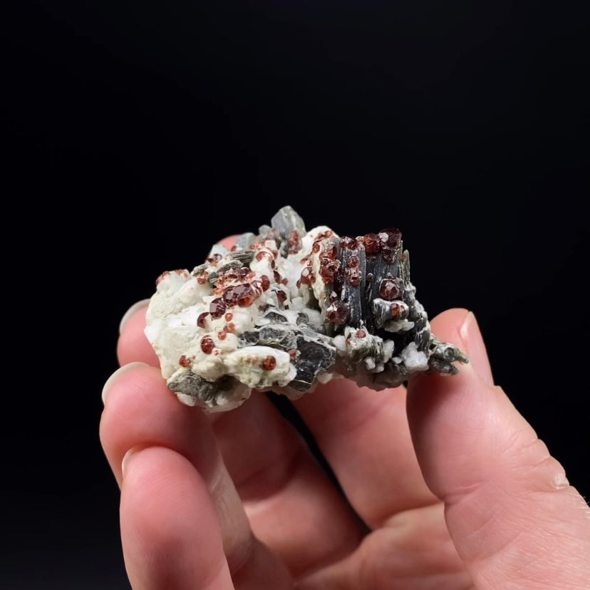 Red Garnets on Albite Matrix with Mica and Quartz