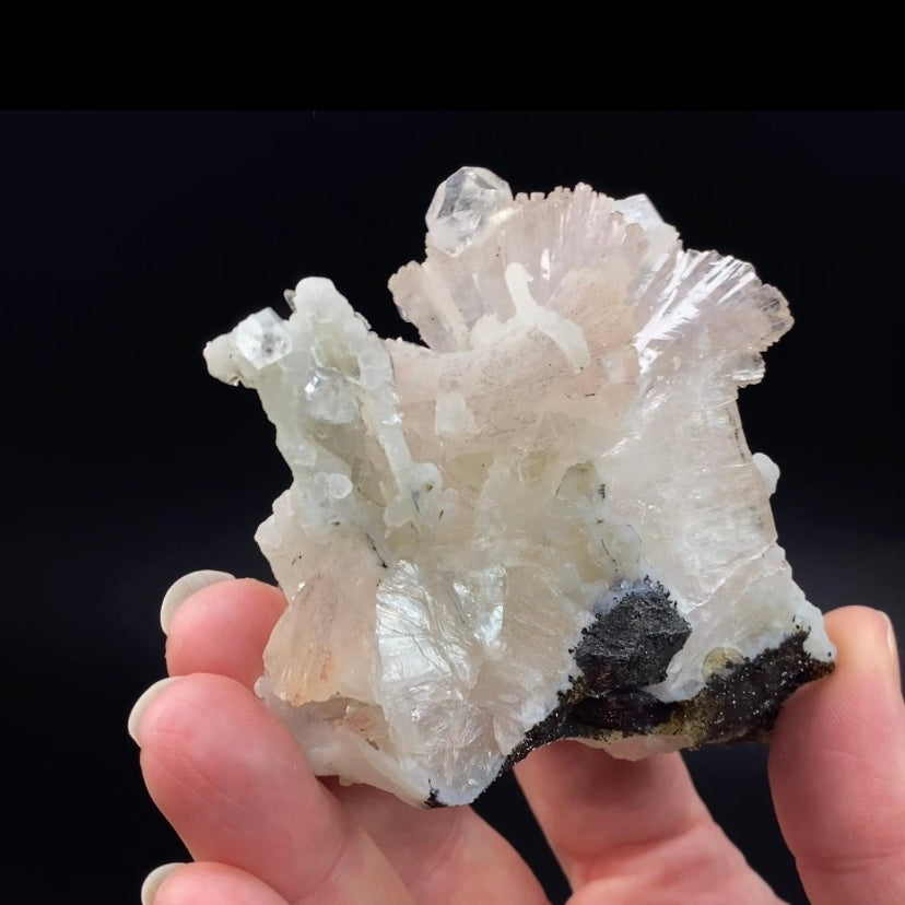 Gemmy Pale Pink Heulandite Fans with Apophyllite & Chalcedony in Trimmed Basalt Matrix
