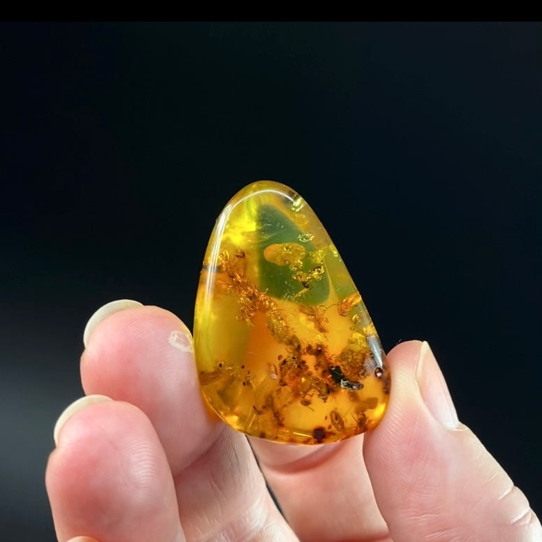 Polished Amber with Inclusions from Cimitarra, Colombia