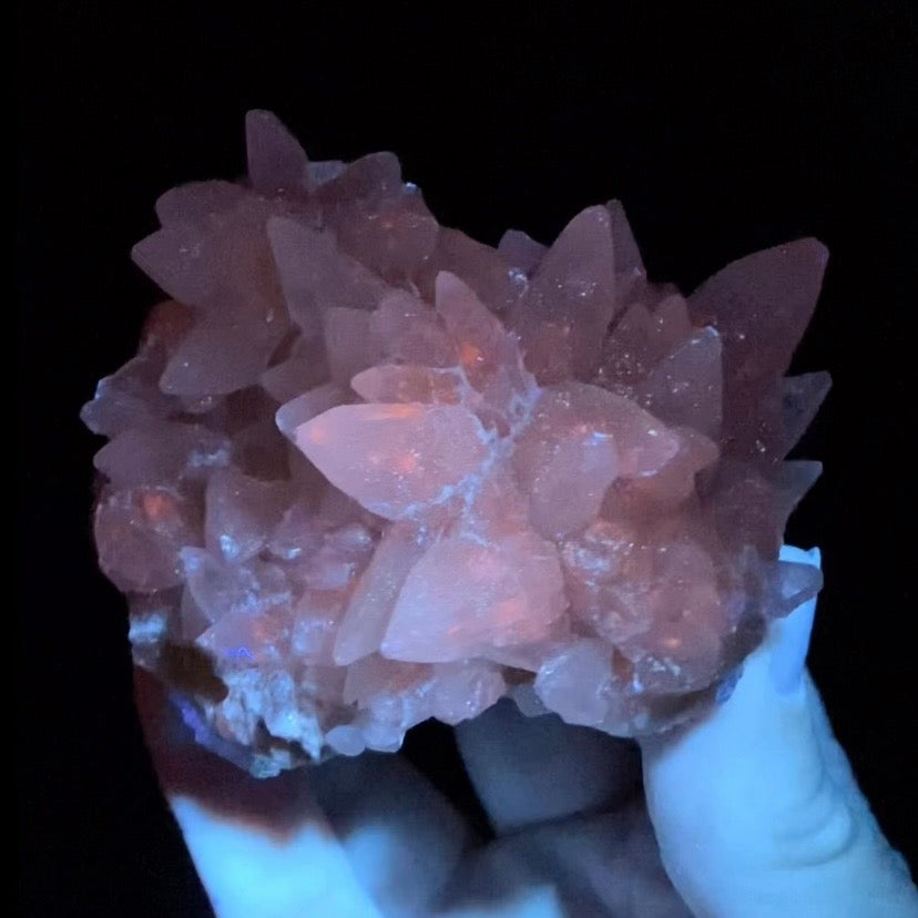 Scalenohedral DogTooth Calcite on Blue Purple Fluorite Matrix, UV Reactive, Fluorescent