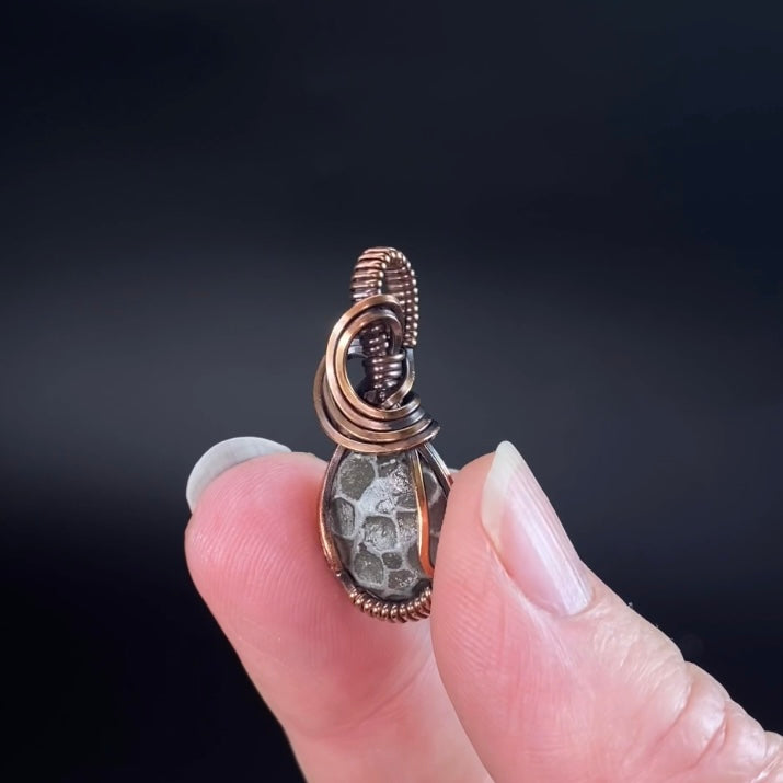 Fossilized 380 Million Year Old Pleurodictyum Coral & Copper Wire Wrapped Pendant