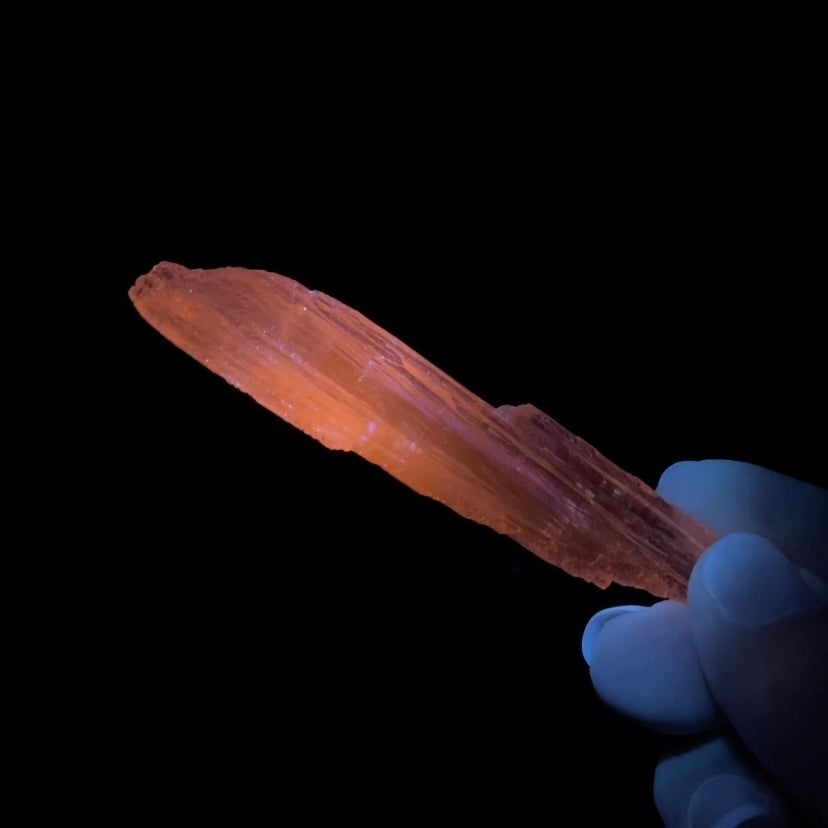 Natural Etched Spodumene Crystal Blade Clear Kunzite, Triphane from Minas Gerais, Brazil