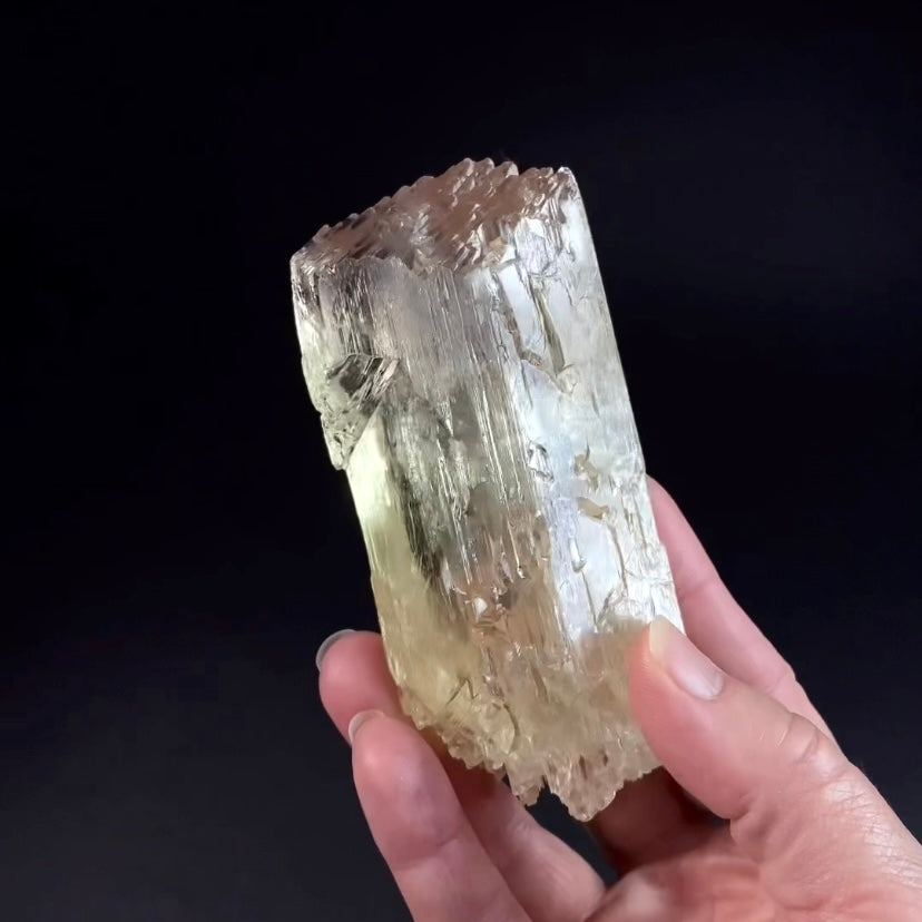 Yellow and Pink Spodumene Triphane Kunzite Crystal with Unique Healed Terminations