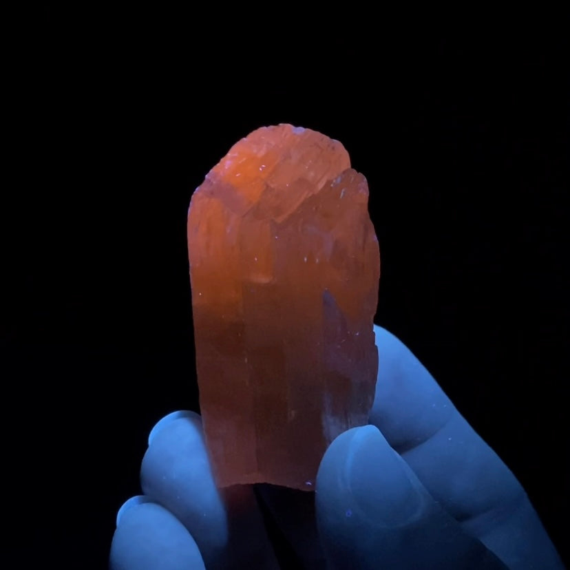 Yellow Spodumene Triphane Crystal Fluorescent Yellow Kunzite with Self Healed Termination