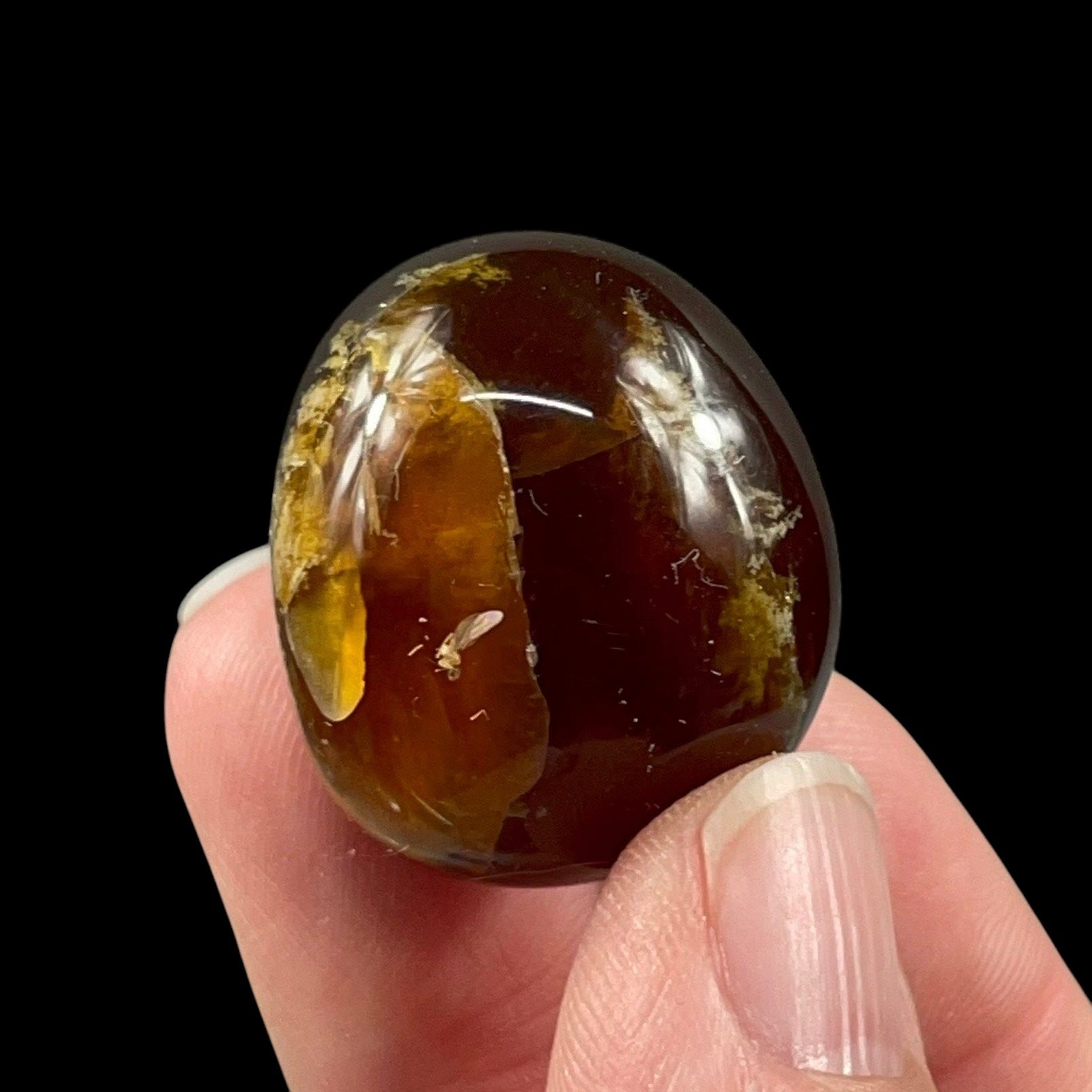 ONE Sumatran Amber Tumbled Stone, Two Sizes Available